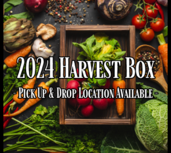 SNAP/EBT Harvest Boxes (PLEASE READ DESCRIPTION)