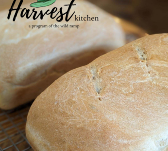 Harvest Kitchen White Bread