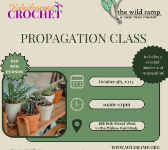 Propagation Class