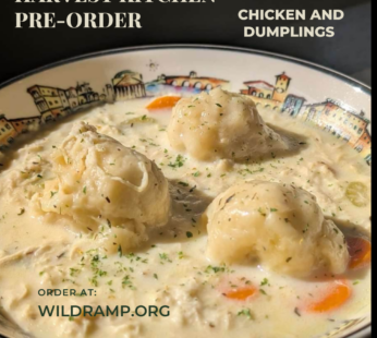 Chicken and Dumplings Pre-Order